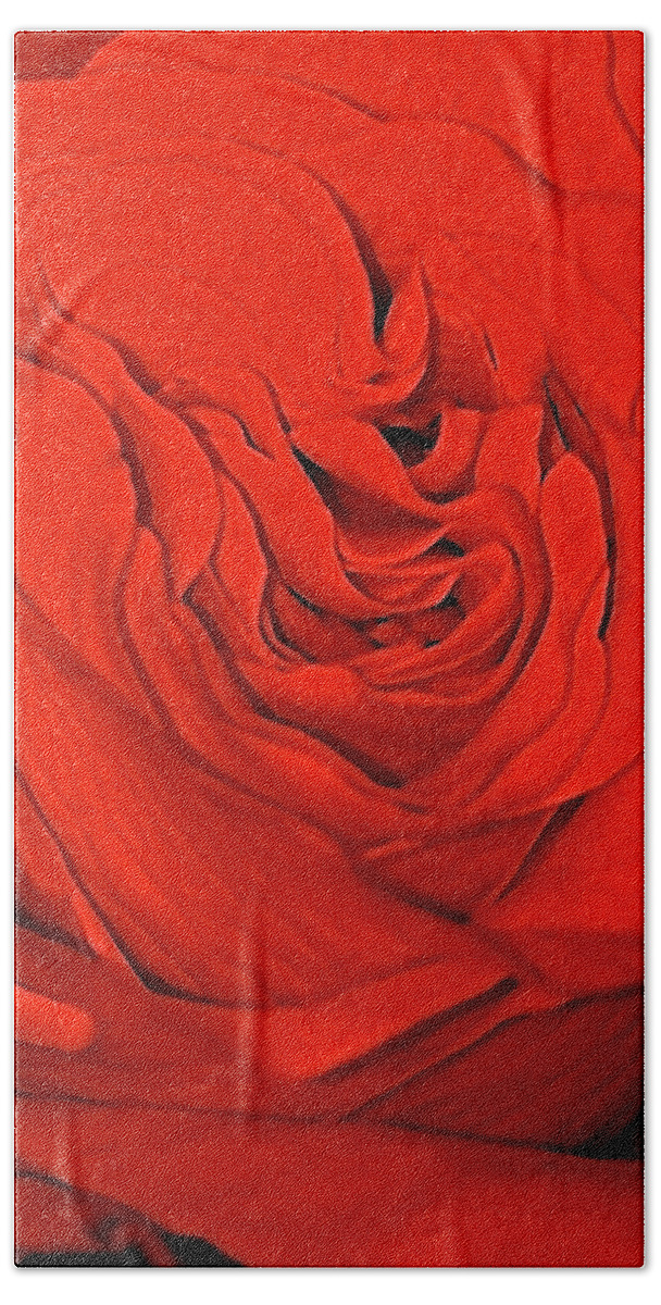 Red Bath Towel featuring the photograph Red Rose by Gillis Cone