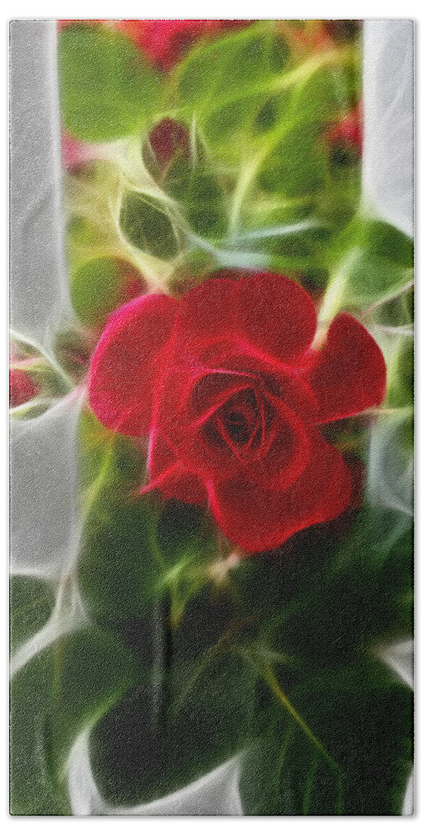 Red Rose Photographs Bath Towel featuring the photograph Red Rose by Joann Copeland-Paul