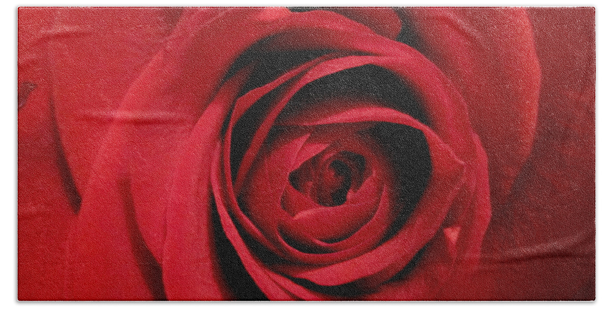 Floral Bath Towel featuring the photograph Red Rose Macro 4 by Tara Shalton