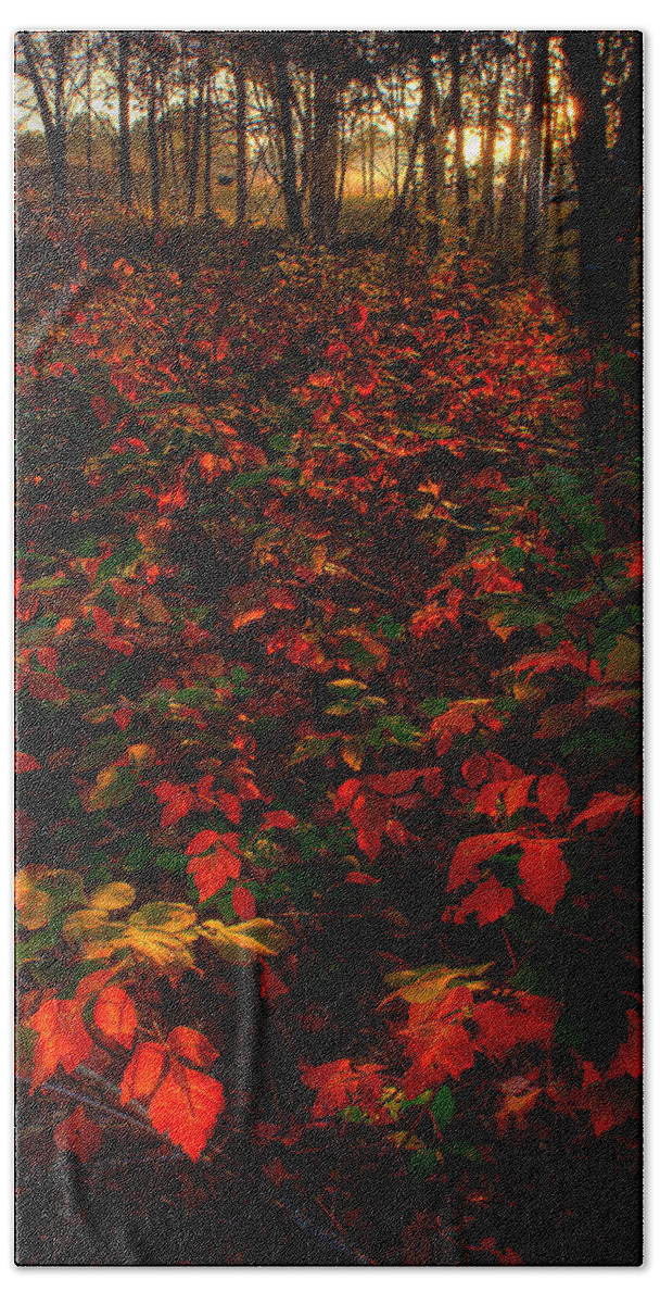 2008 Bath Towel featuring the photograph Red Sumac by Robert Charity