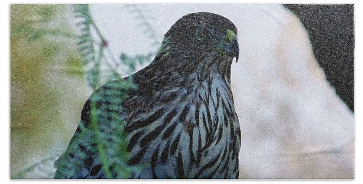 Bird Hand Towel featuring the photograph Red tailed Hawk by Marcia Breznay