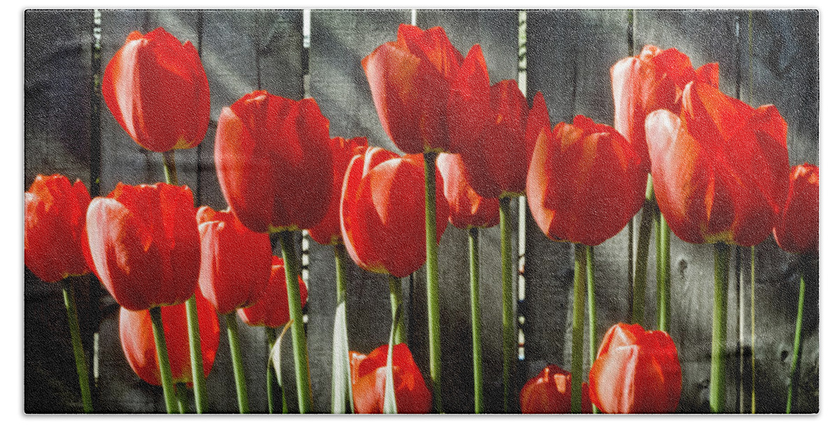 Red Tulips Bath Towel featuring the photograph Red Tulips by Kelley King