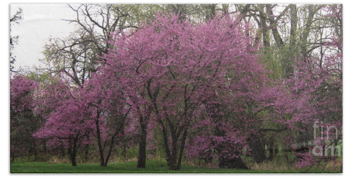 Redbud Hand Towel featuring the photograph Redbud Trees Landscape by Anne Nordhaus-Bike