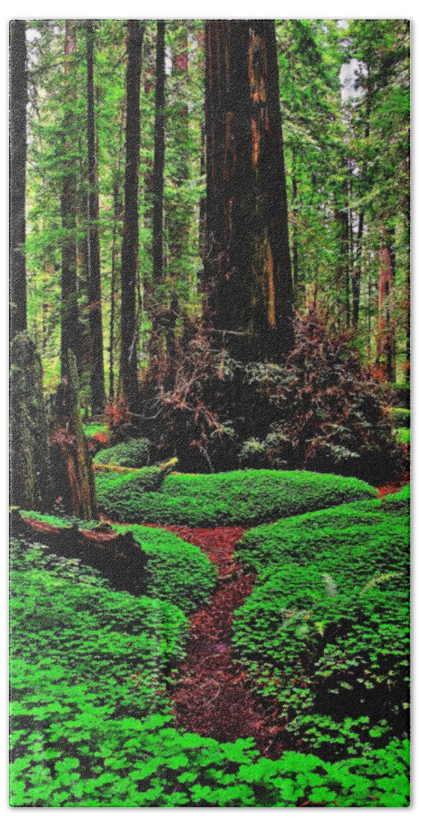 Redwood Hand Towel featuring the photograph Redwoods Wonderland by Benjamin Yeager