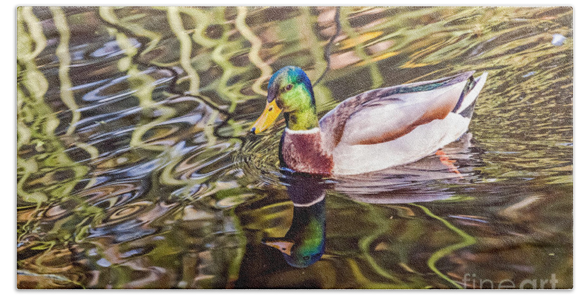 Bird Bath Towel featuring the photograph Reflected by Kate Brown