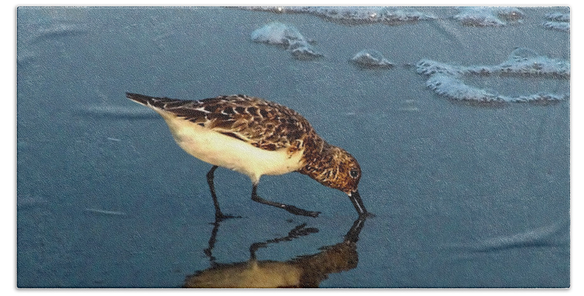 Sandpiper Hand Towel featuring the photograph Reflection At Sunset by Sandi OReilly