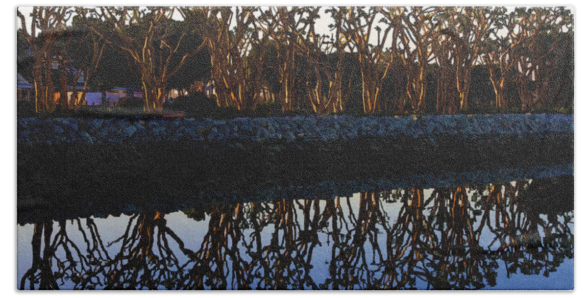 Trees Bath Towel featuring the photograph Reflections in First Light by Gary Holmes