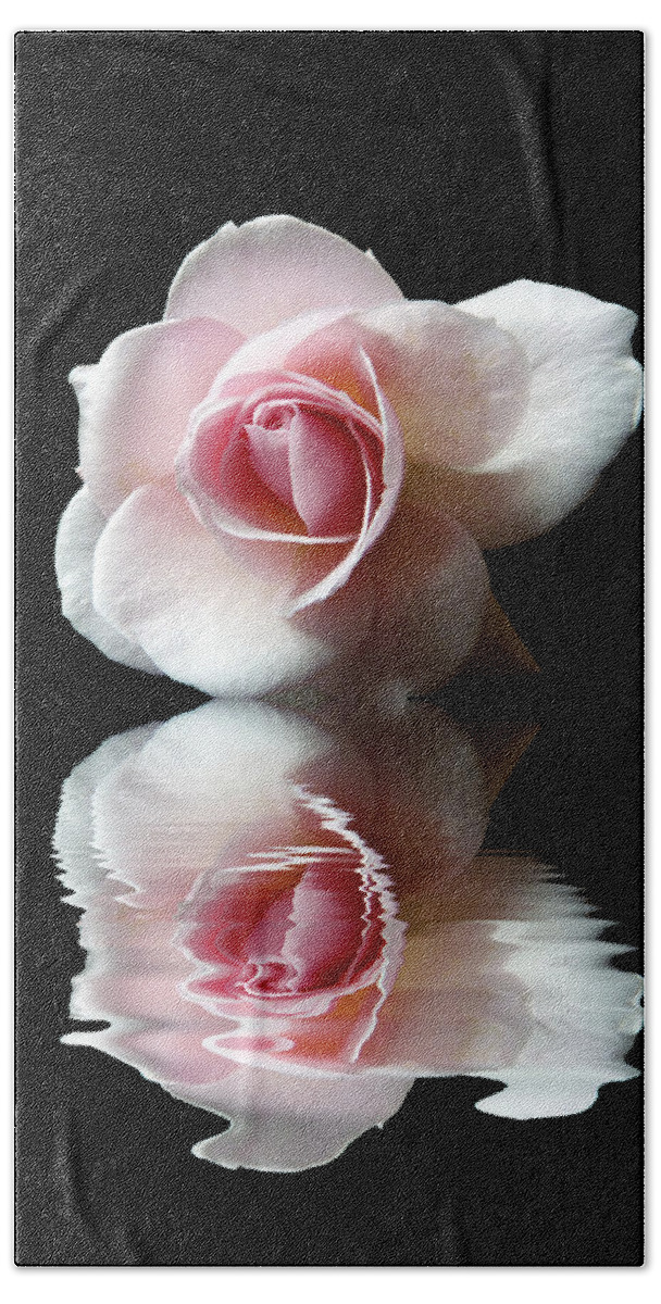 Rose Hand Towel featuring the photograph Reflections of a Rose by Lynn Bolt
