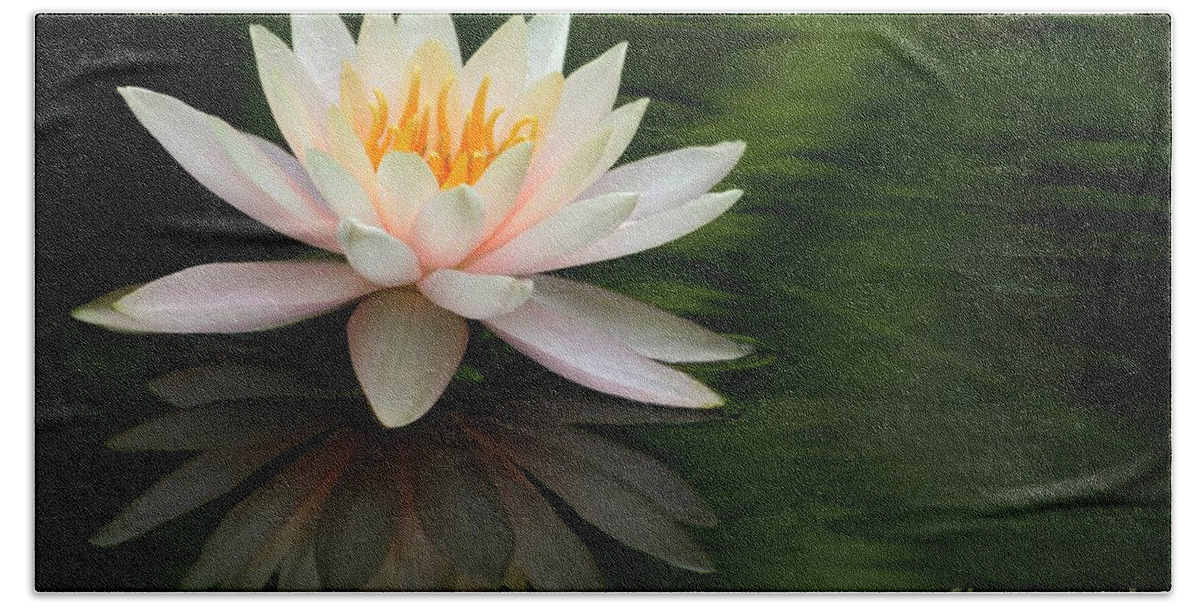 White Bath Towel featuring the photograph Reflections of a Water Lily by Sabrina L Ryan