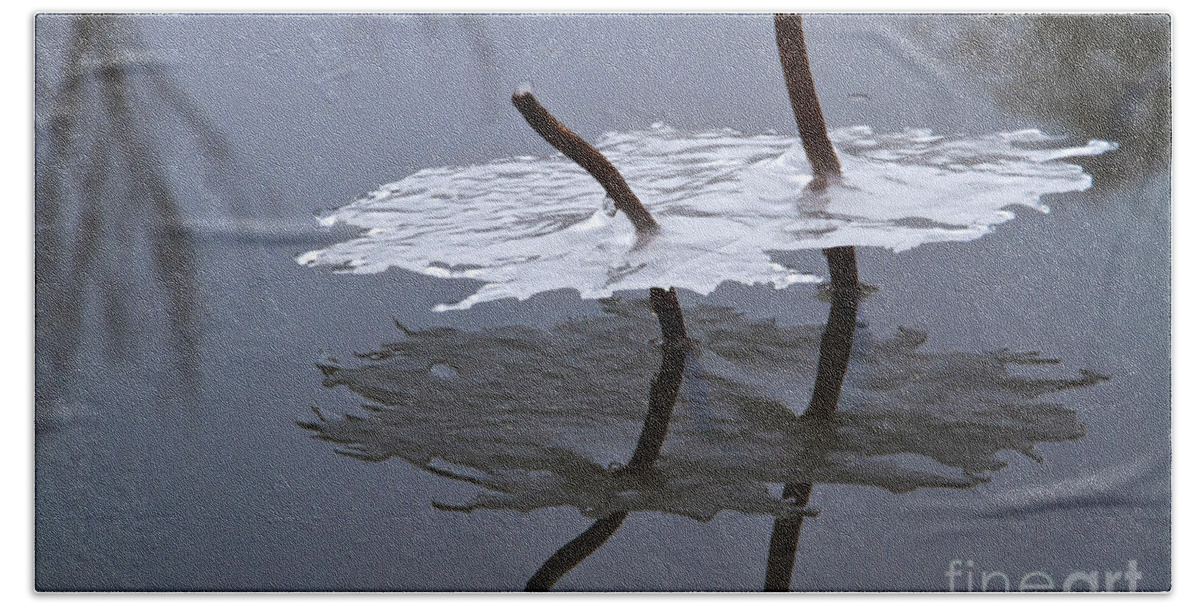 Winter Bath Towel featuring the photograph Reflections of Winter by Dennis Hedberg