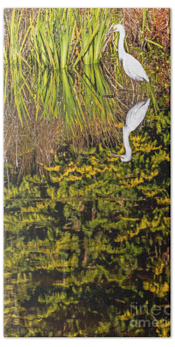 Bird Bath Sheet featuring the photograph Reflections with Egret by Kate Brown