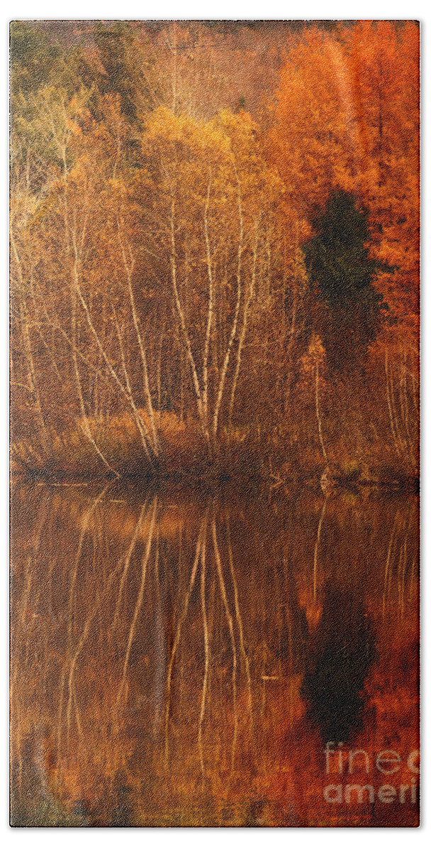 Autumn Hand Towel featuring the photograph Restes d'Automne by Aimelle Ml