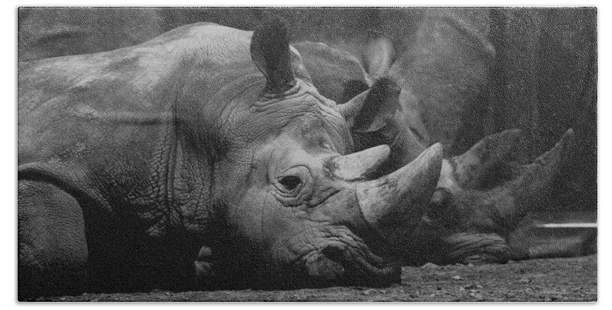 Black And White Hand Towel featuring the photograph Rhinos by David Andersen