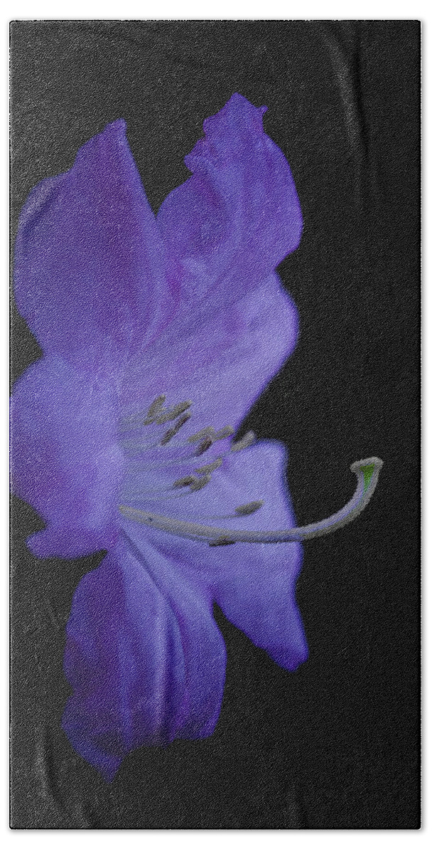 Rhododendron Bath Towel featuring the photograph Rhododendron by Ron Roberts