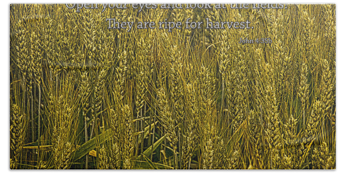 Scripture Photography Bath Towel featuring the photograph Ripe Wheat Fields by Priscilla Burgers