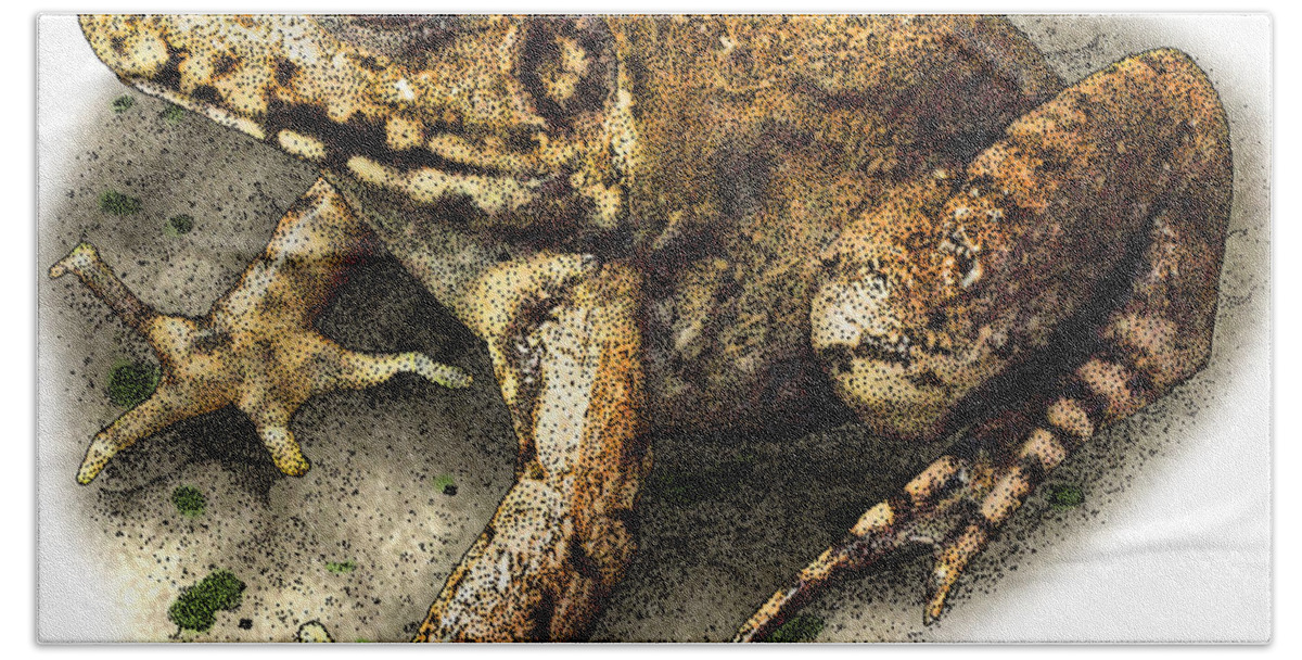 Nature Bath Towel featuring the photograph River Frog by Roger Hall