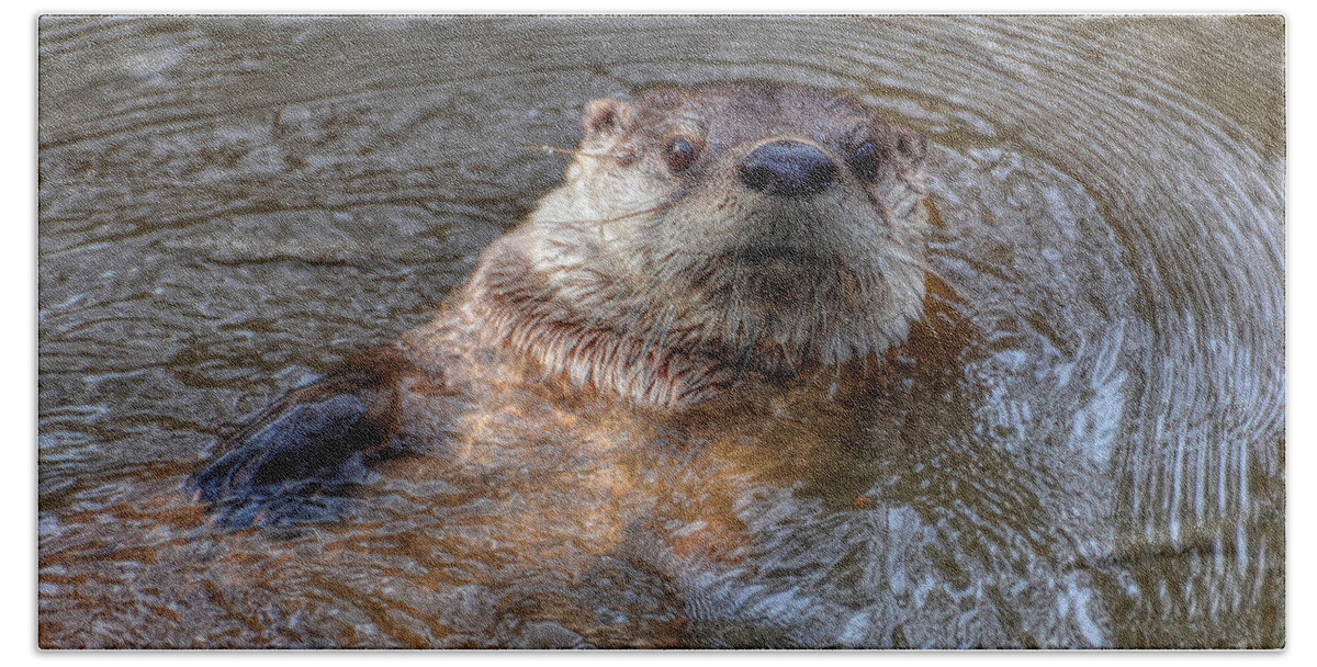 Otter Bath Towel featuring the photograph River Otter by Kathy Baccari