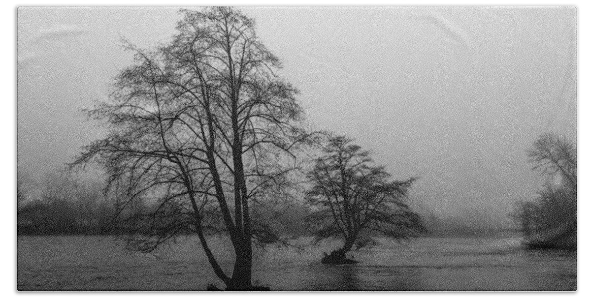 River Bath Towel featuring the photograph River Trees and Fog by John Daly