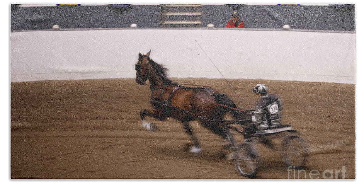 Equine Hand Towel featuring the photograph Road Pony at Speed by Carol Lynn Coronios