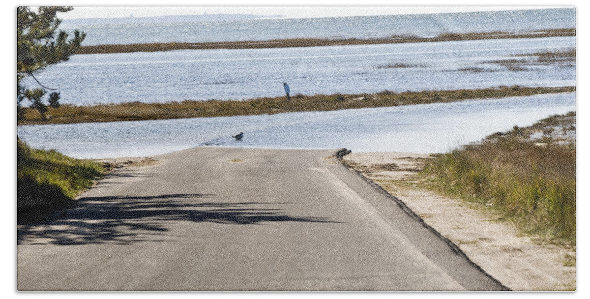 Animal Bath Towel featuring the photograph Road Through Marsh At High Tide by Eunice Harris