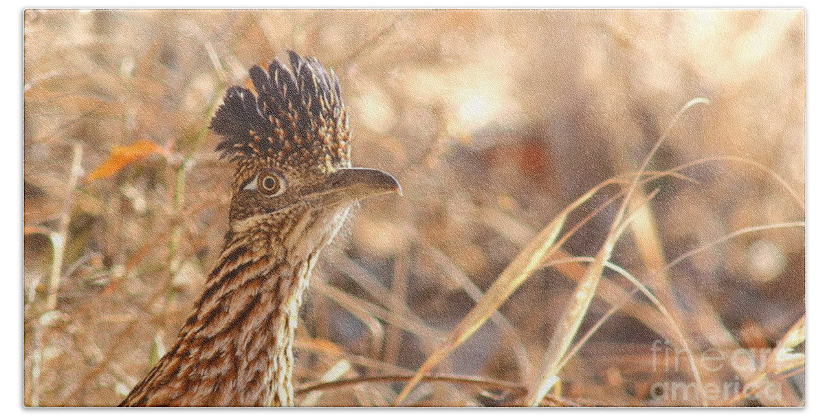 Wildlife Bath Towel featuring the photograph Roadrunner Close-up by Robert Frederick