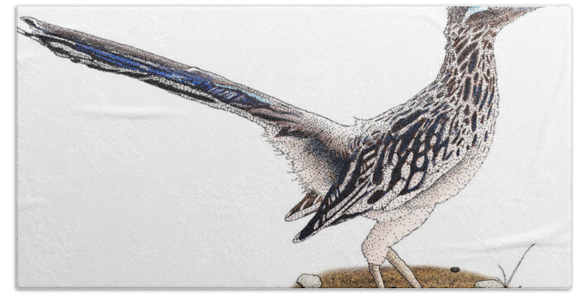Animal Bath Towel featuring the photograph Roadrunner by Roger Hall