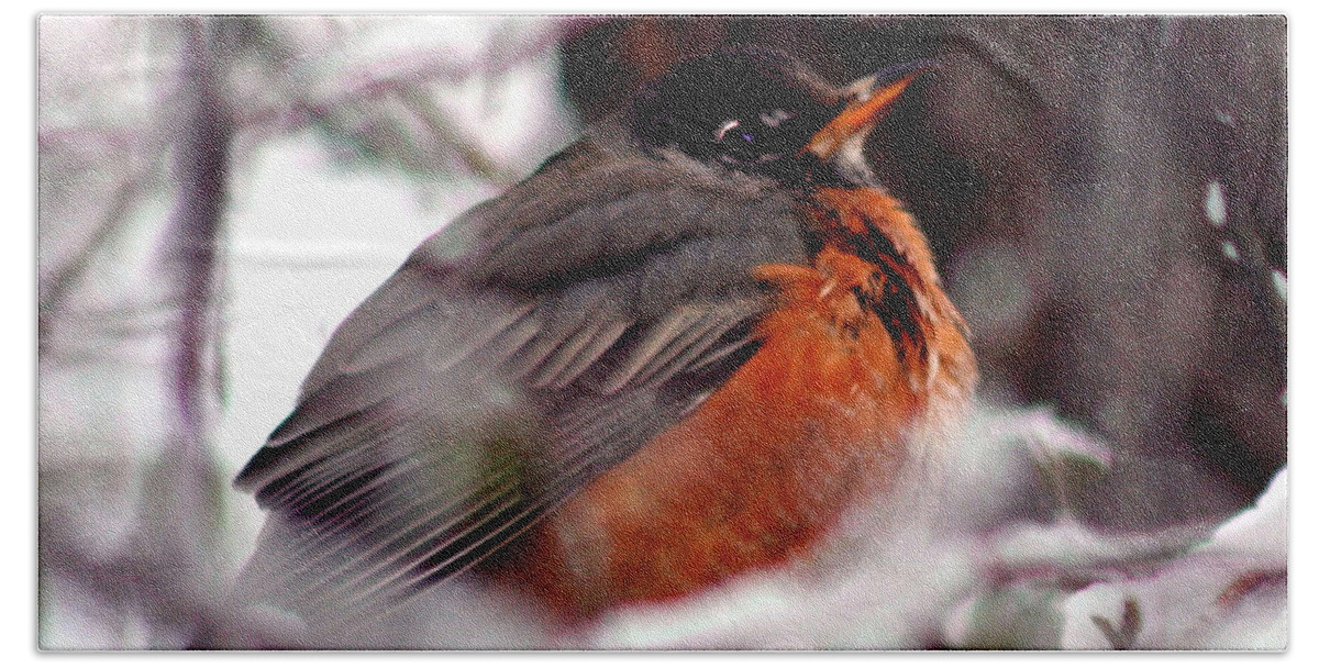 Bird Bath Towel featuring the photograph Robins' Patience by Lesa Fine