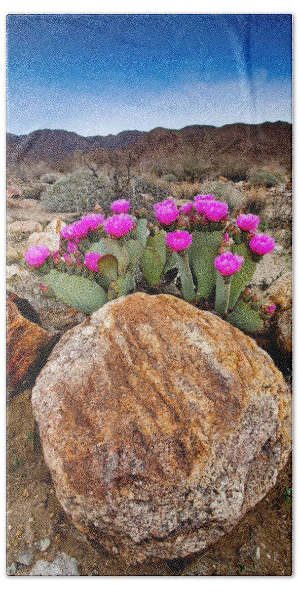 Anza-borrego Desert Bath Towel featuring the photograph Rock and Beavertail by Peter Tellone