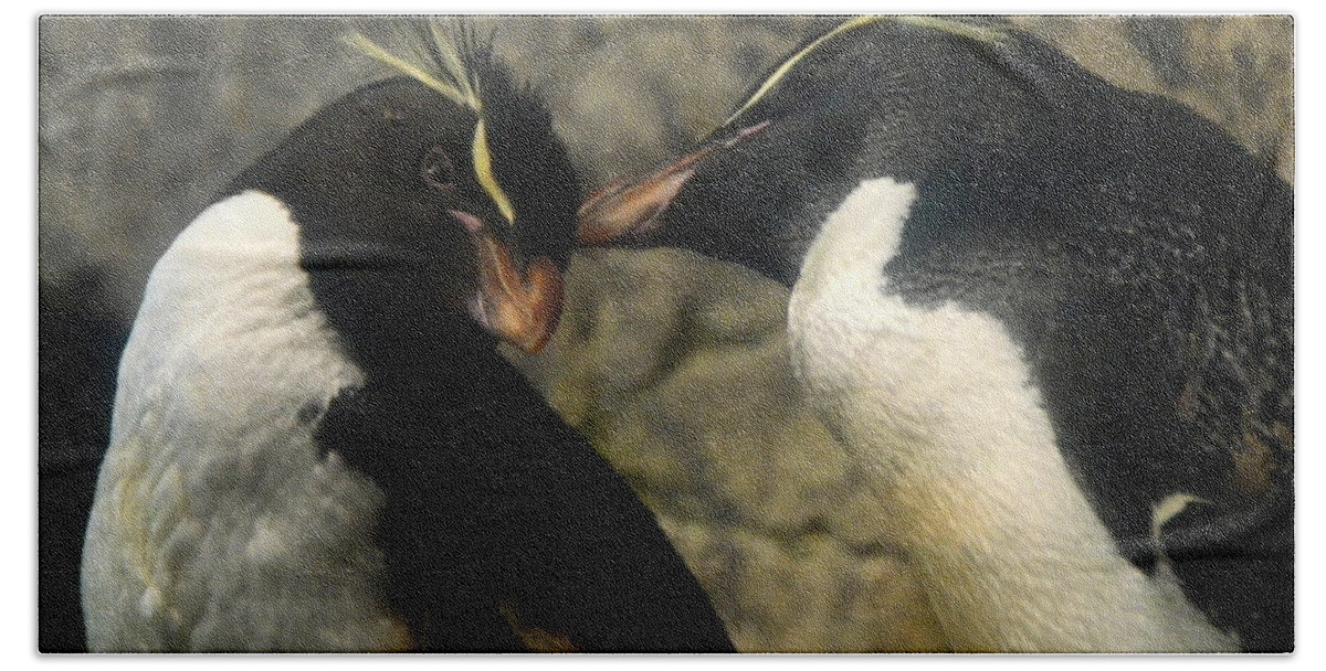 Penguin Hand Towel featuring the photograph Rockhopper Love by Charlotte Schafer