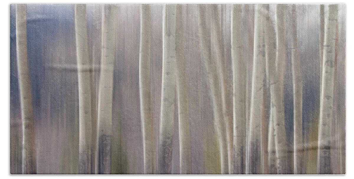 Surreal Bath Towel featuring the photograph Rocky Mountain Winter Aspen Tree Forest Dream by James BO Insogna