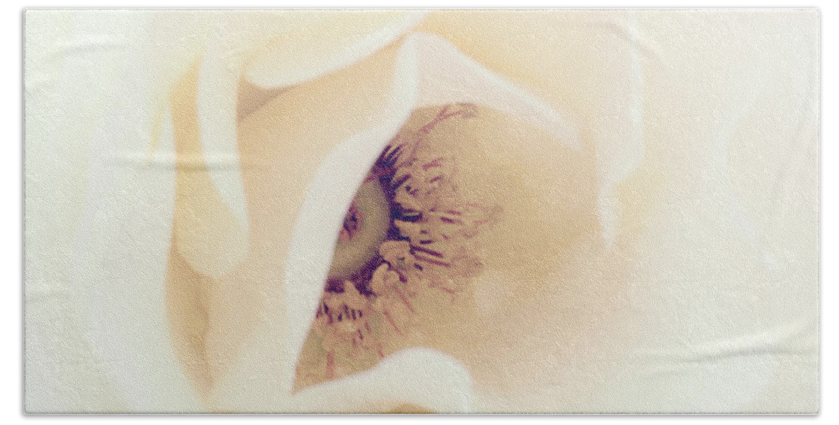Love Hand Towel featuring the photograph Romance in a Rose by Spikey Mouse Photography