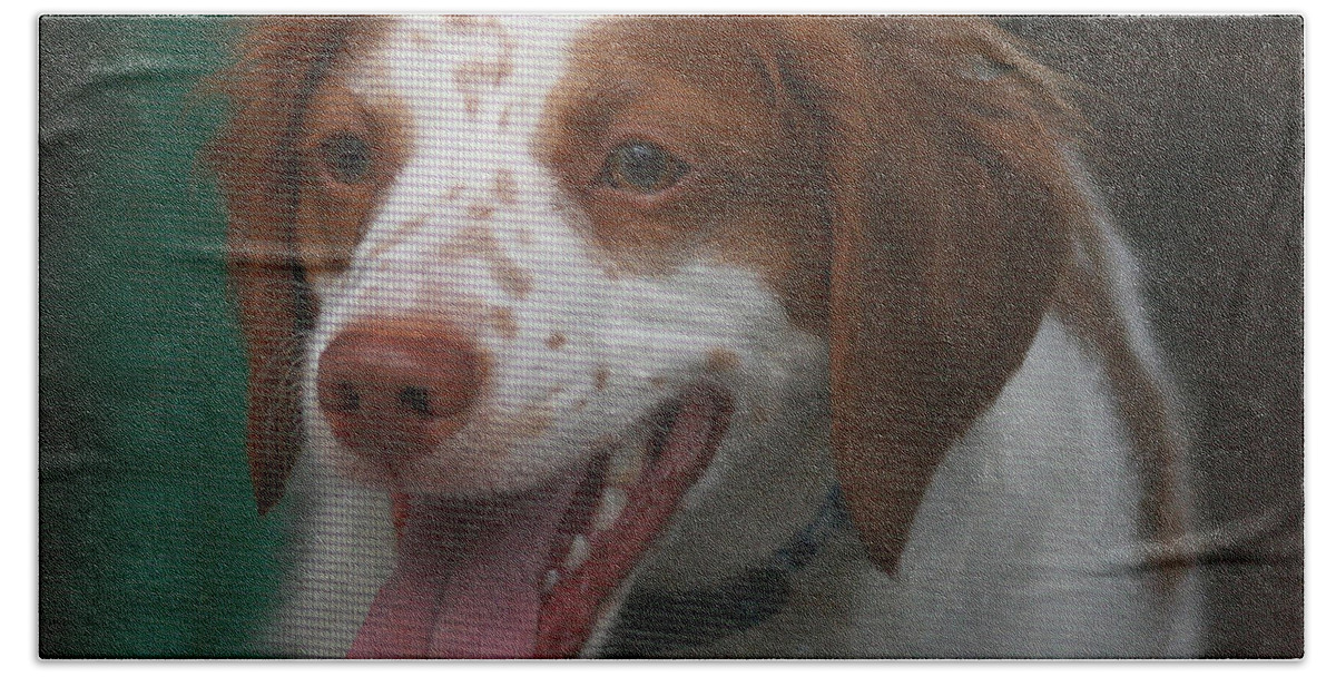 Dog Hand Towel featuring the photograph Rooney at the Back Door by Karen Adams