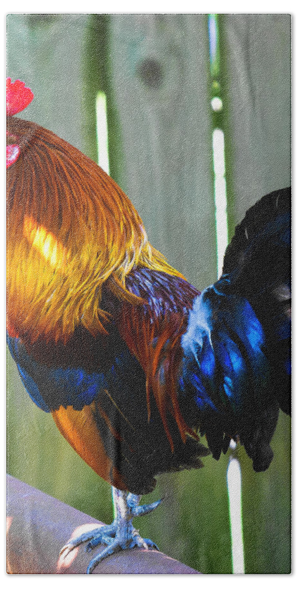 Rooster Bath Towel featuring the photograph Rooster by Robert L Jackson