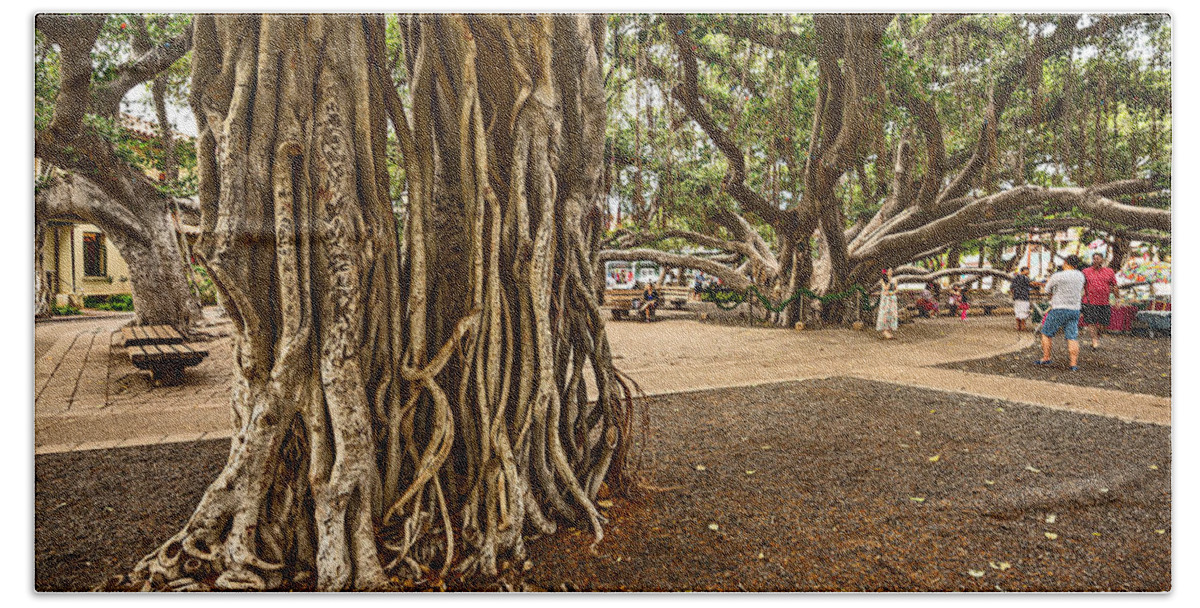 Banyan Tree Park Hand Towel featuring the photograph Roots - Banyan Tree Park in Maui by Jamie Pham