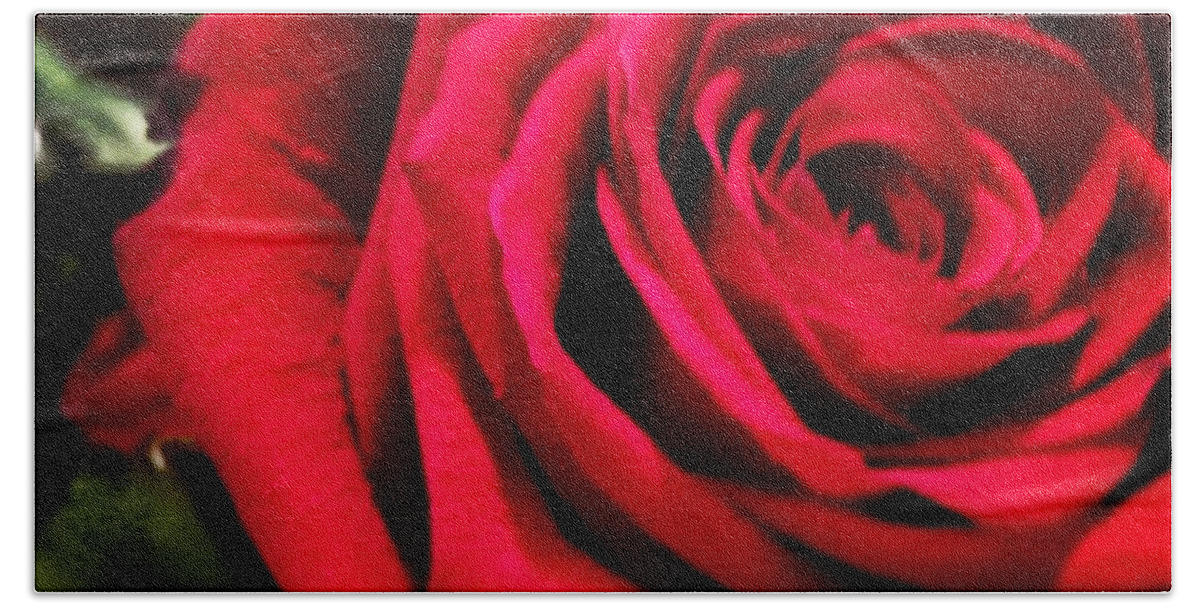 Rose Hand Towel featuring the photograph Rose Bloom by Marisela Mungia