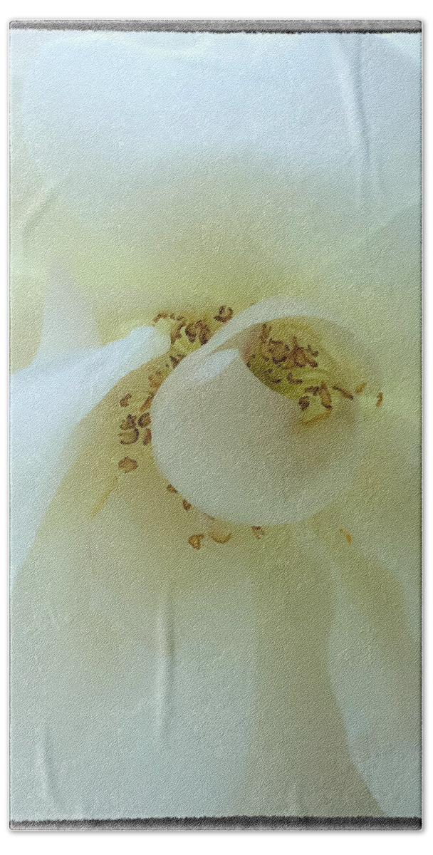 Abstract Bath Towel featuring the photograph Rose Center by Jonathan Nguyen