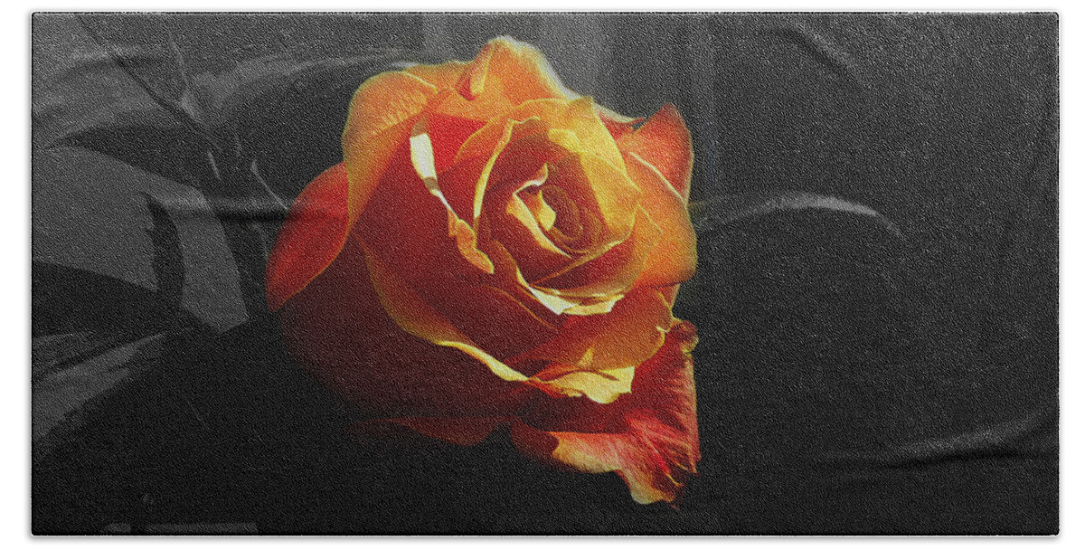 Rose Bath Towel featuring the photograph Rose I by Xueling Zou