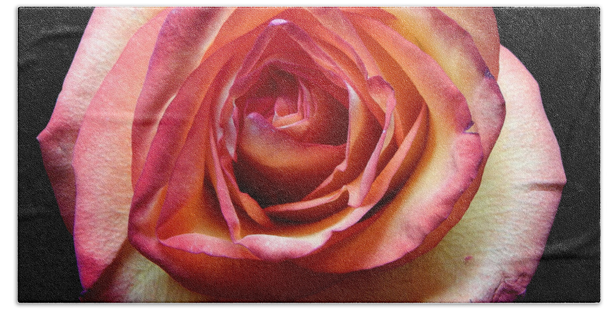 Flowers Bath Towel featuring the photograph Rose II Still Life Flower Art Poster by Lily Malor