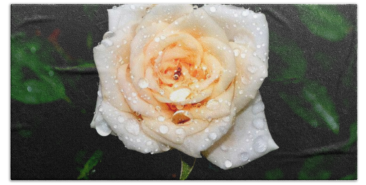 Rose Bath Towel featuring the photograph Rose In The Rain by Deena Stoddard
