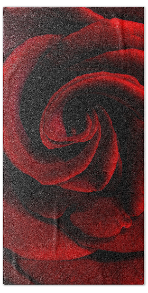 Nature Hand Towel featuring the photograph Rose' by Joseph Hedaya