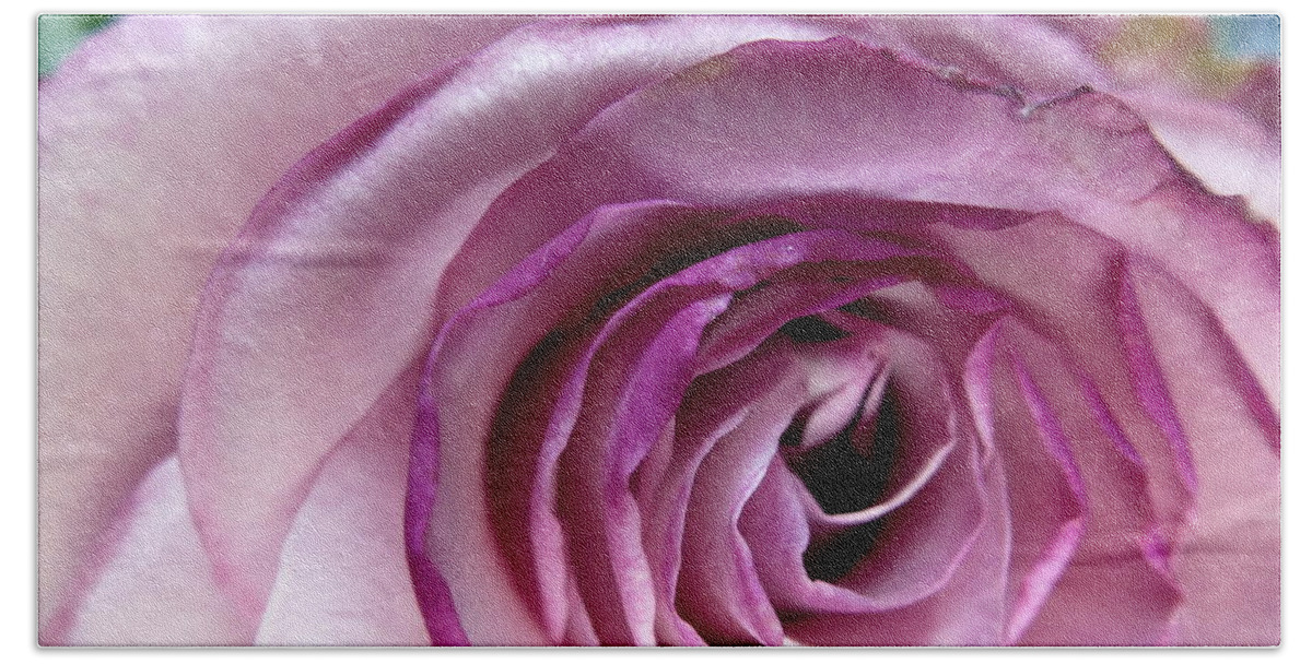 Bath Towel featuring the photograph Rose Neptune by Mars Besso
