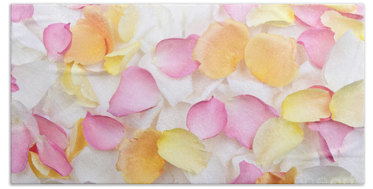 Petals Hand Towel featuring the photograph Rose petals background by Elena Elisseeva