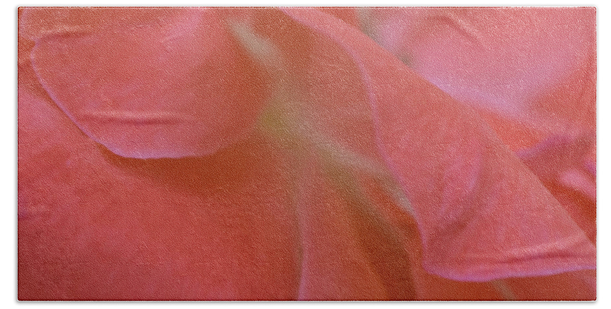 Flower Bath Towel featuring the photograph Rose Petals by Stephen Anderson