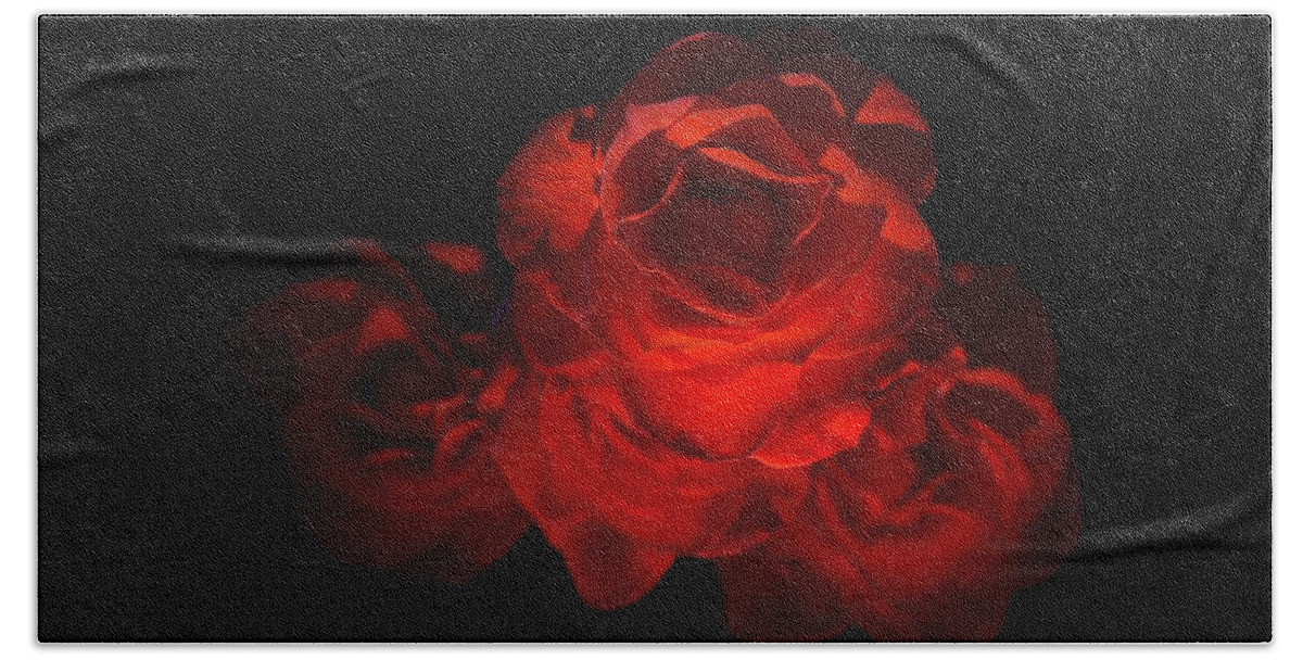 Blossom Bath Towel featuring the photograph Rose Three by David Andersen