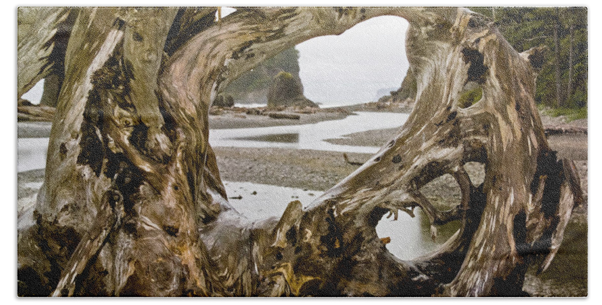 Ruby Beach Driftwood Iii Bath Towel featuring the photograph Ruby Beach Driftwood #3 by Greg Reed