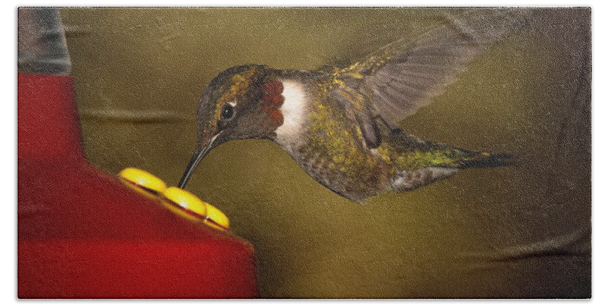 Ruby Throated Hummingbird Hand Towel featuring the photograph Ruby Throated Hummingbird by Robert L Jackson