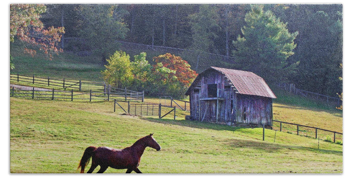 Duane Mccullough Hand Towel featuring the photograph Running Horse and Old Barn by Duane McCullough