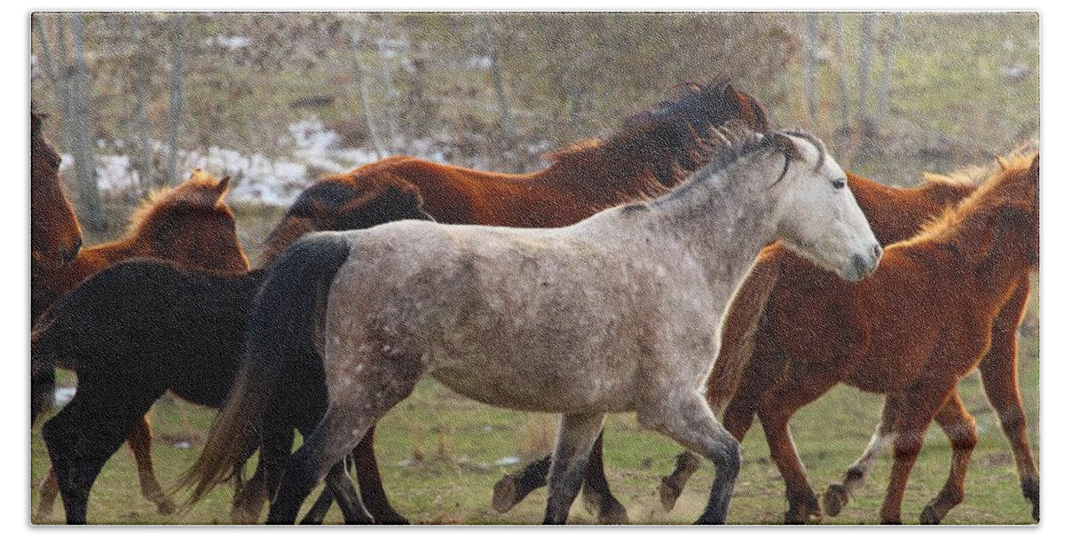 Wild Horses Bath Towel featuring the photograph Running wild by Lynn Hopwood