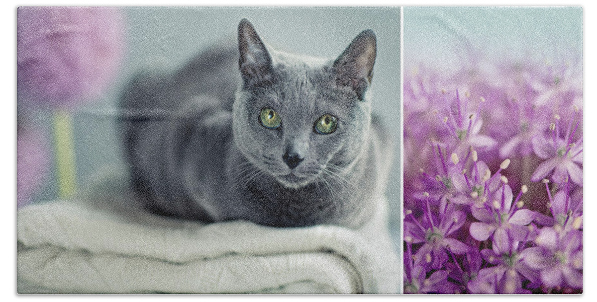 Purebred Bath Sheet featuring the photograph Russian Blue Collage by Nailia Schwarz
