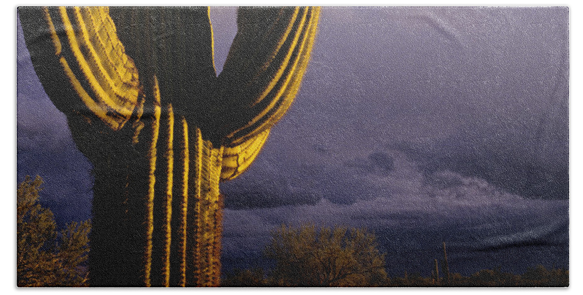 American Southwest Hand Towel featuring the photograph Saguaro cactus sunset at dusk Arizona State USA by Jim Corwin
